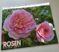Preview: ROSEN KALENDER